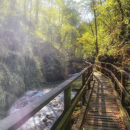 Marcos House * Mrkopalj